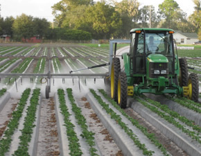 chemical spraying